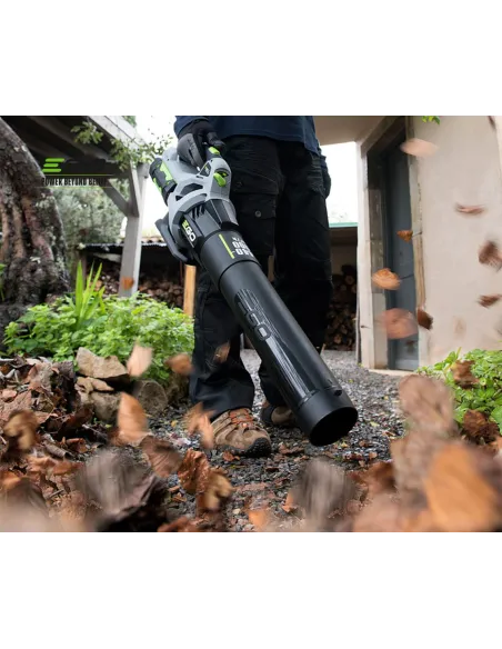Soplador a bateria EGO LB5300E para uso ocasional en el jardín